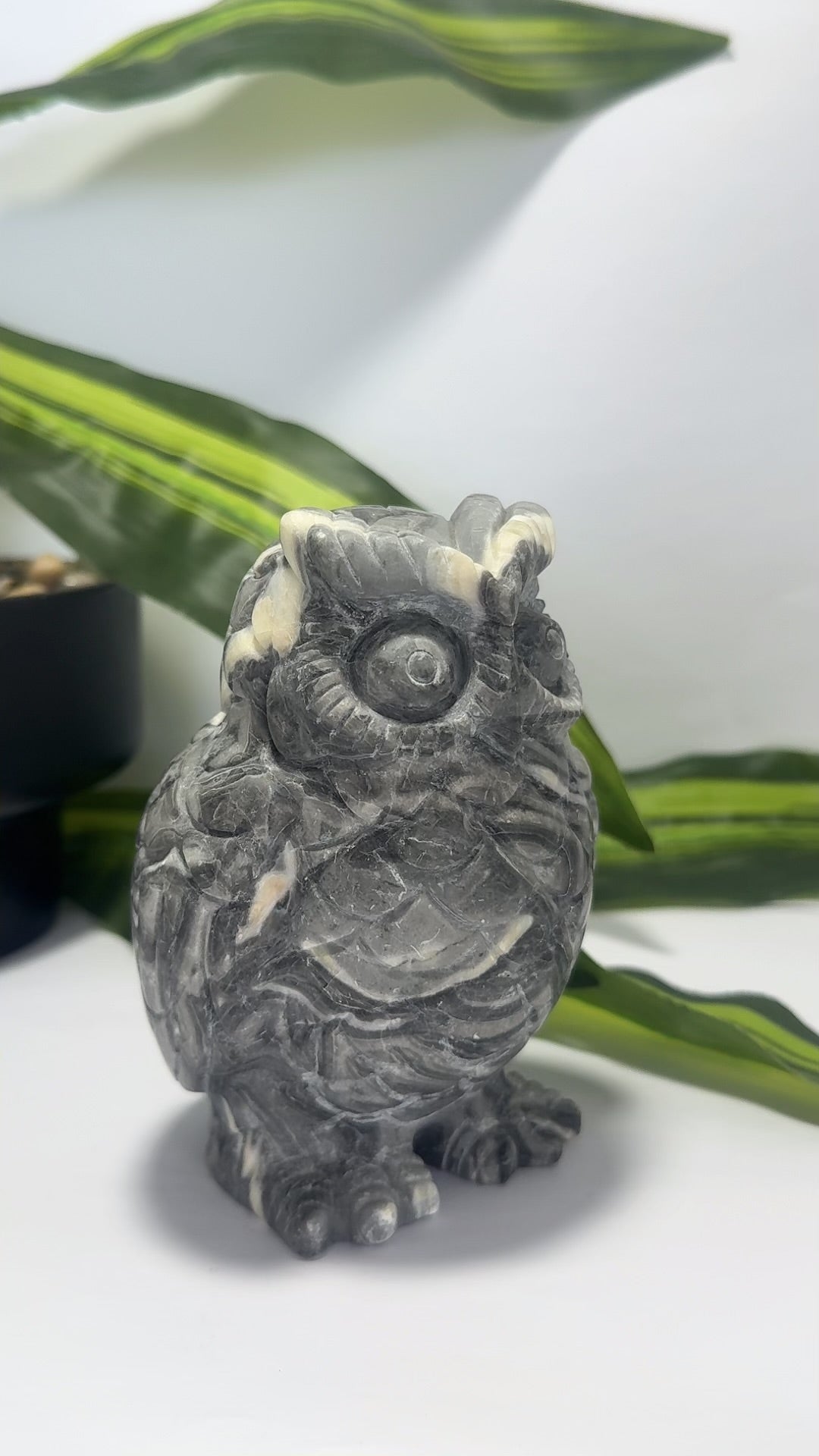 Thousand Eye Jasper Owl 1076g