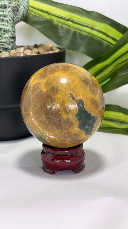 Ocean Jasper Sphere 550g