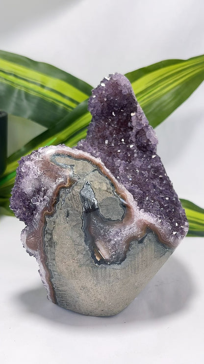 Amethyst Freeform Cluster 1.2kg