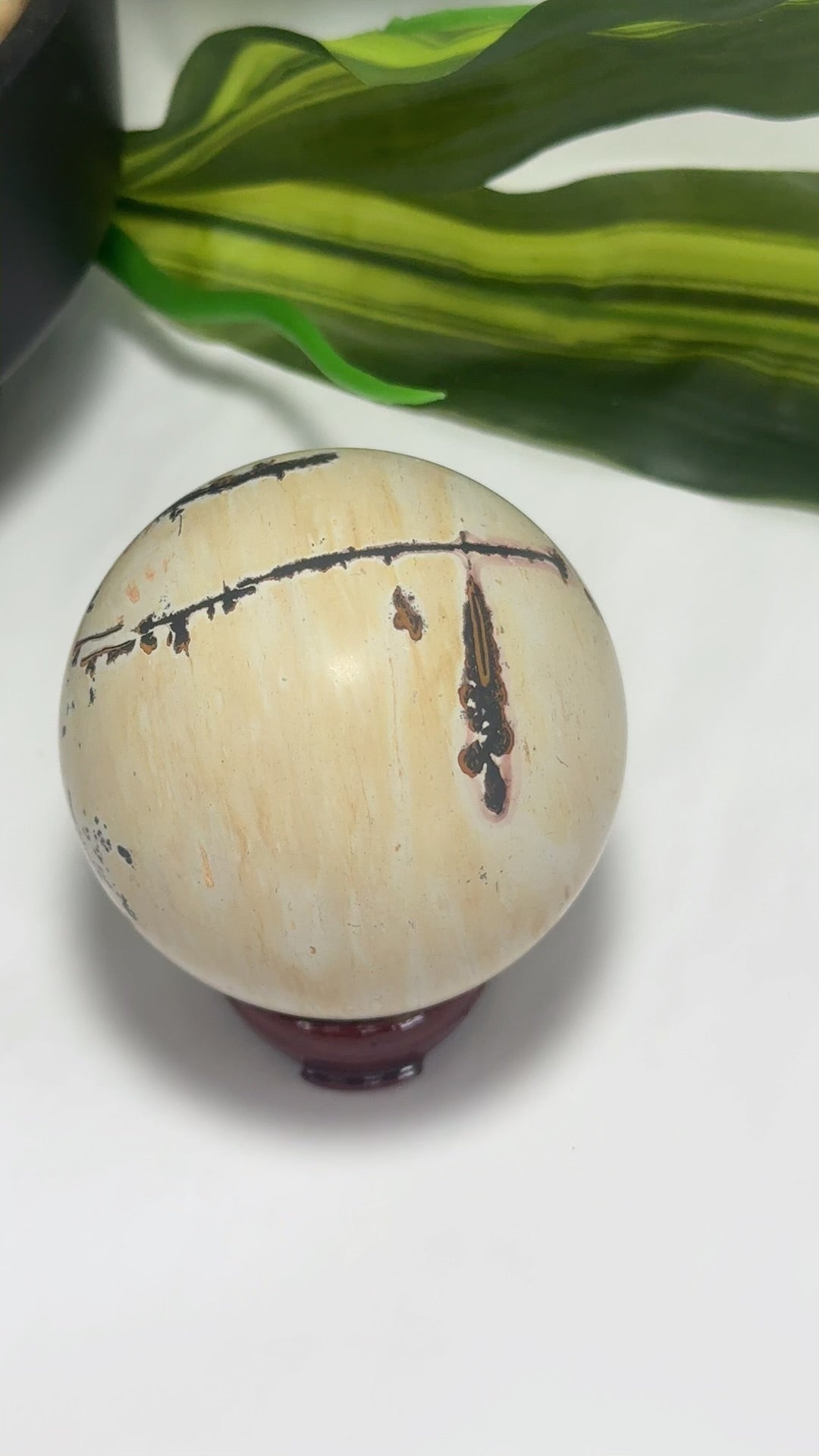 Picture Jasper Sphere 466g