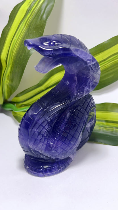 Purple Fluorite Cobra 866g