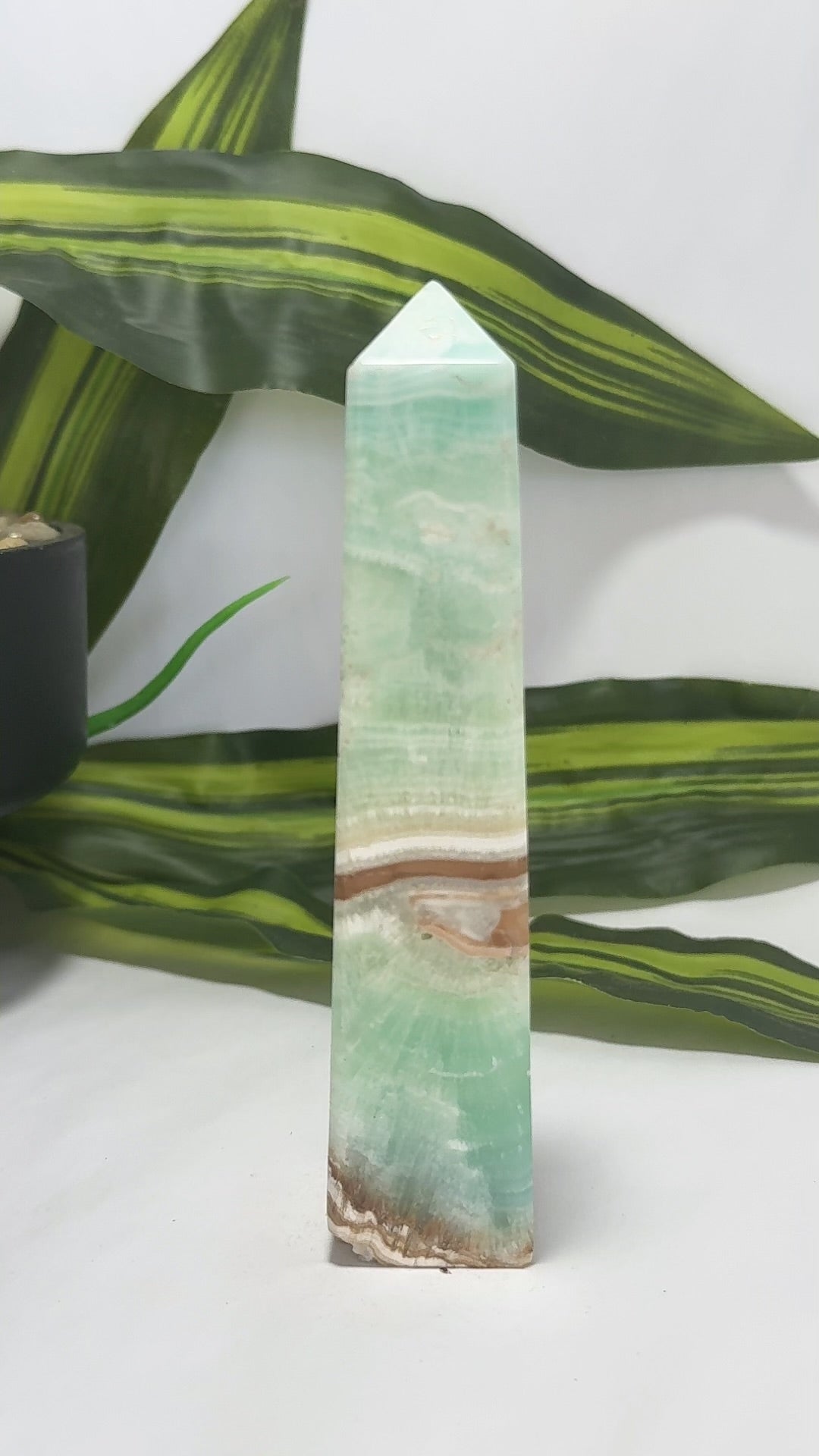 Caribbean Calcite Tower 308g