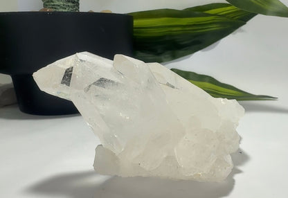 Clear Quartz Cluster 496g