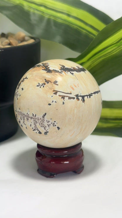 Picture Jasper Sphere 466g