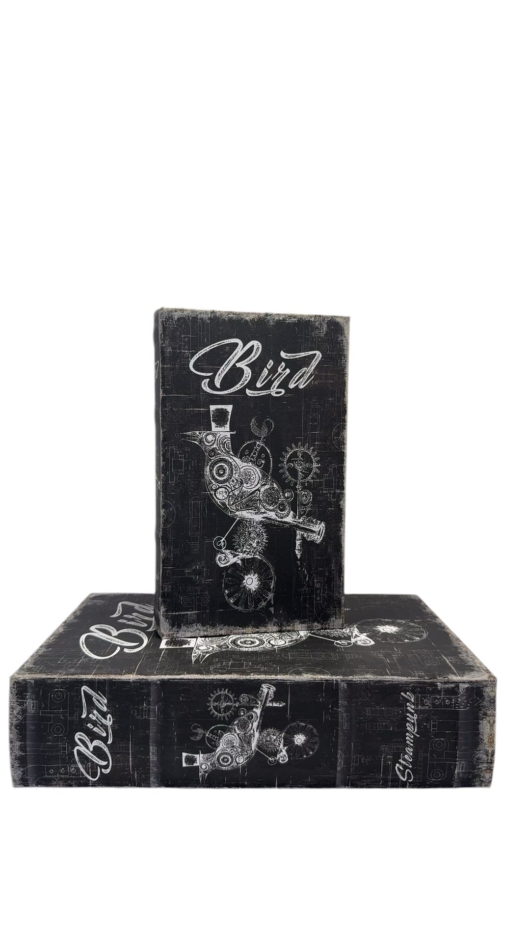 Black Bird Steampunk Box Set 2 pce