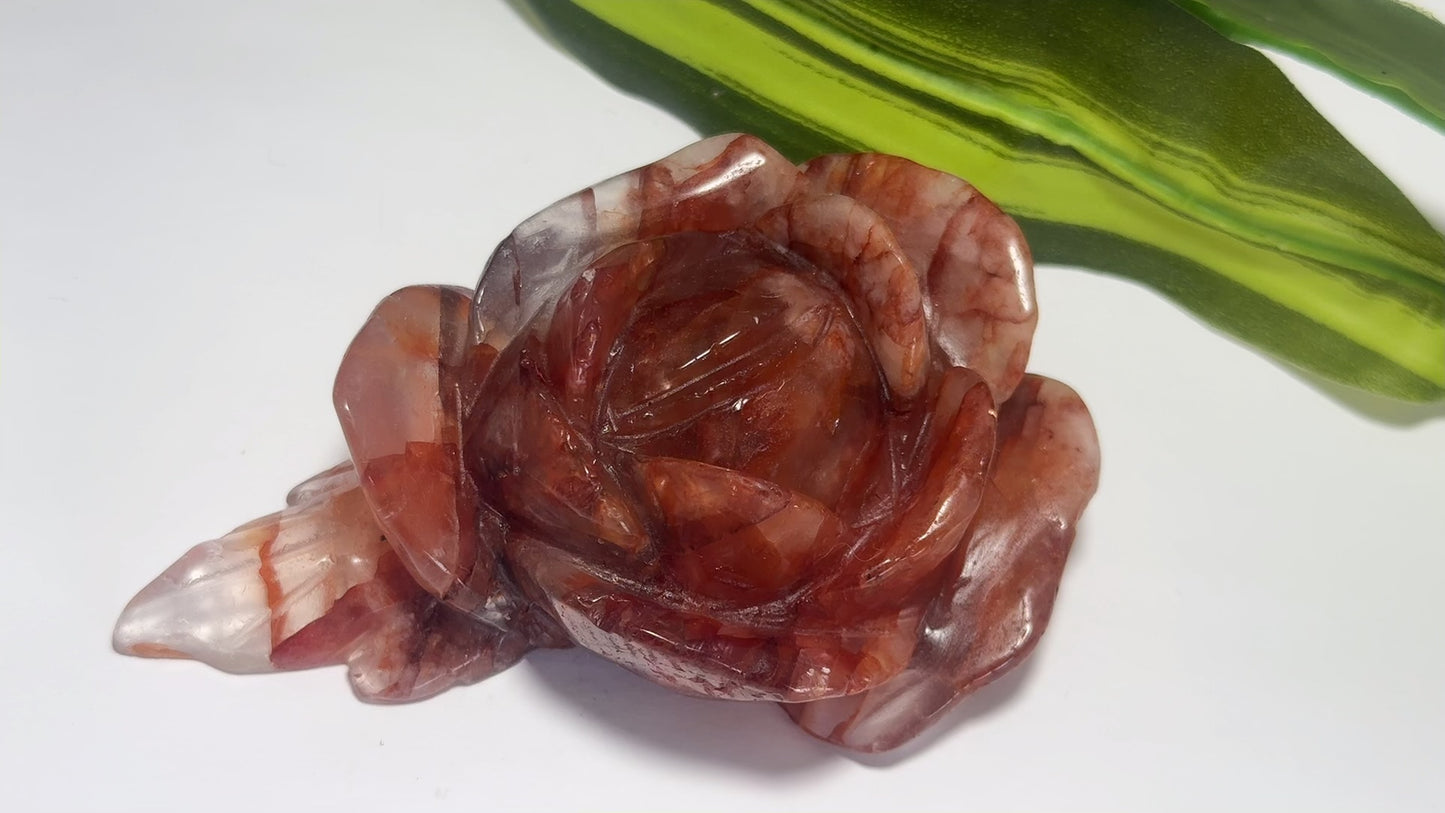 Fire Quartz Rose 328g