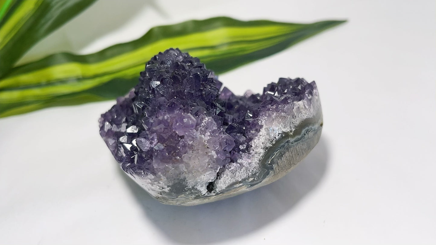 Amethyst Cluster Freeform 496g