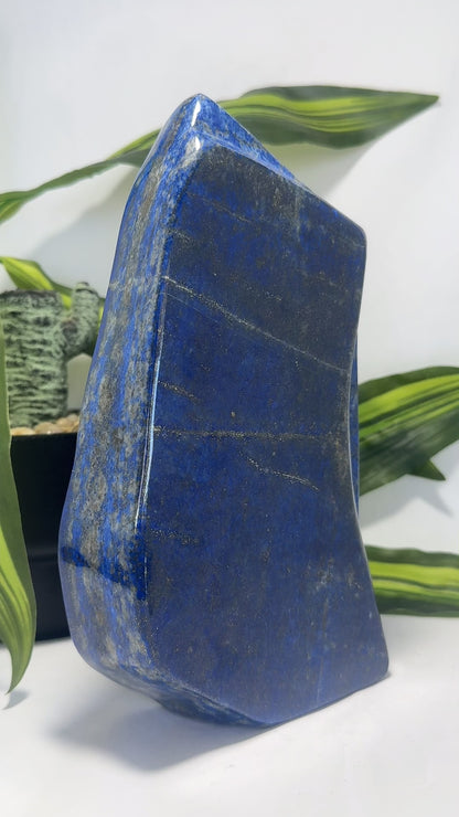 Lapis Lazuli Freeform 2.4kgs