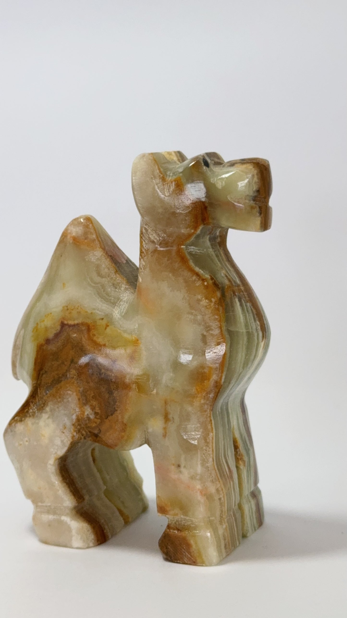 Green Banded Calcite Standing Camel 412g