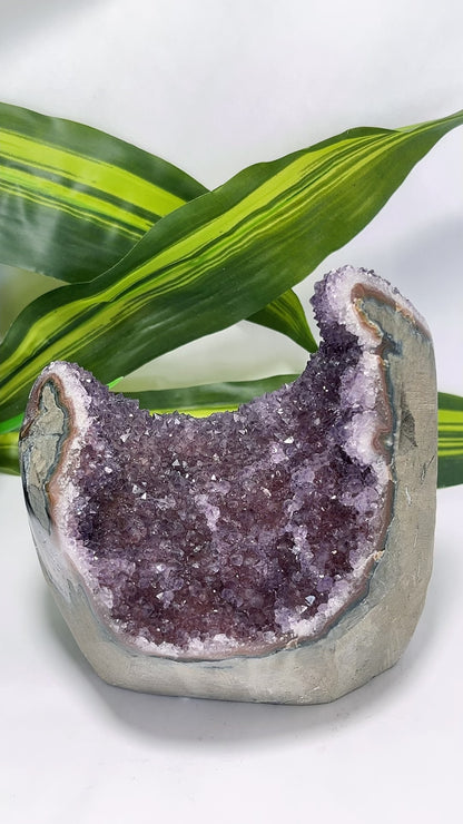 Amethyst Freeform Cluster 1.2kg