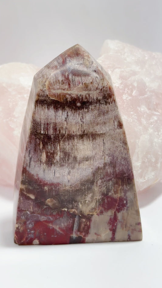 Petrified Wood Tower 548g