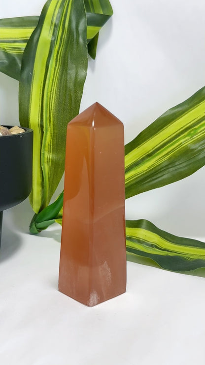 Honey Calcite Tower 254g