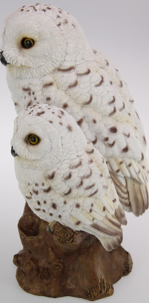 White Owl with Baby on Tree