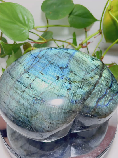 Labradorite Heart 3.76Kg