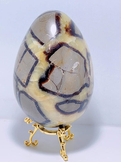 Septarian Egg 1985G